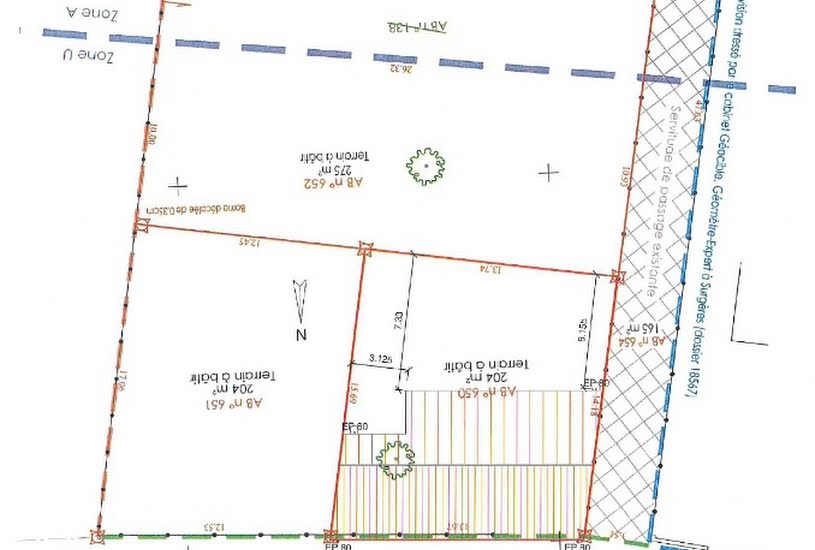  Vente Terrain + Maison - Terrain : 204m² - Maison : 66m² à Saint-Georges-du-Bois (17700) 