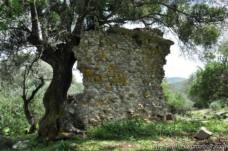 Vsaepo, Saepona, Cerro de la Fantasía