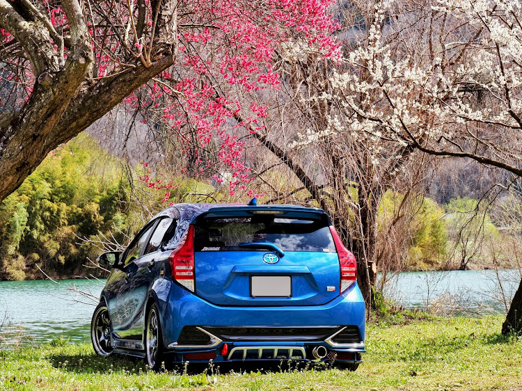 アクアG'sの梅の花と愛車・白とピンクのコラボレーション・桜はまだ先に関するカスタム事例の投稿画像2枚目