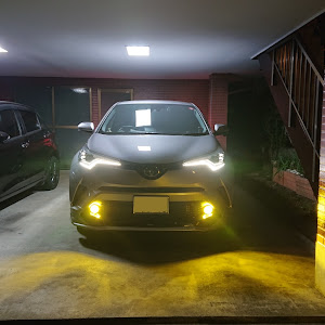 C-HR ZYX10