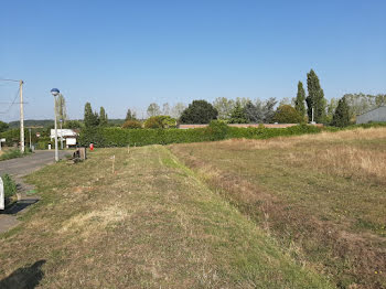 terrain à Armentieres-en-brie (77)