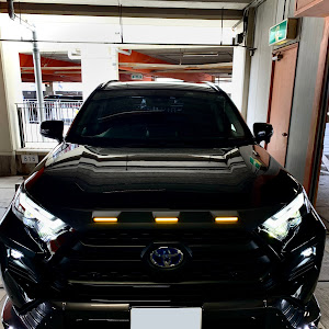 RAV4 AXAH54