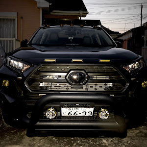 RAV4 MXAA54