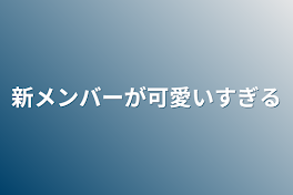 新メンバーが可愛いすぎる