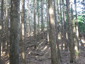 左上の山頂へ