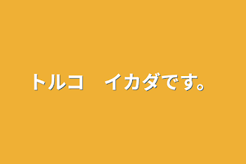 トルコ　イカダです。