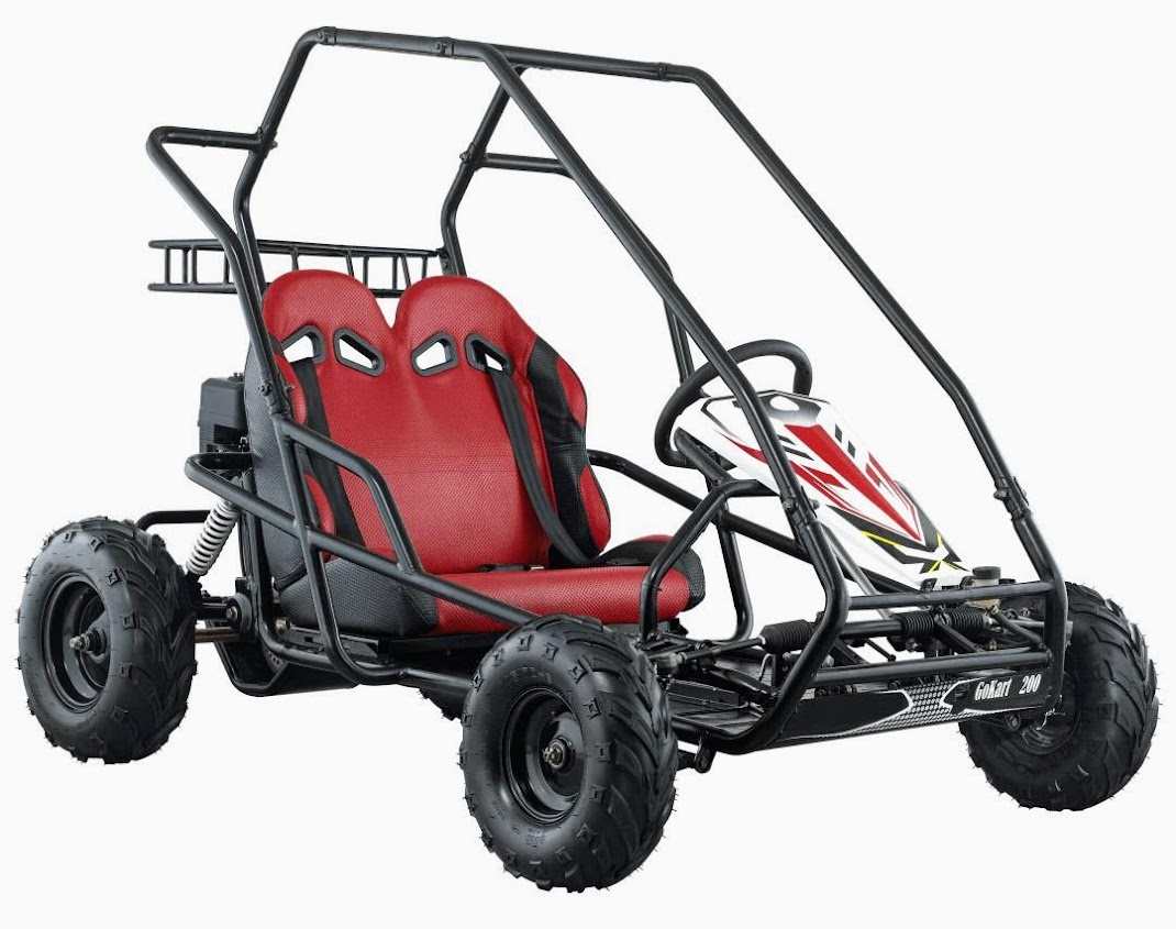 6.5HP 200cc Kids Dune Buggy Go Cart with Rollcage