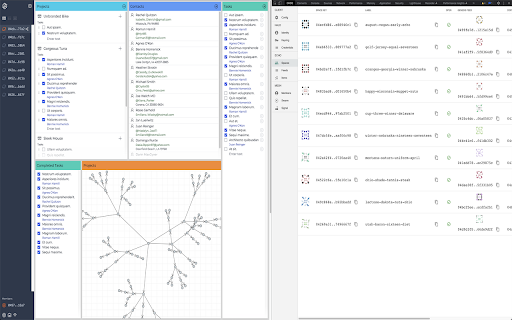 DXOS Client Developer Tools