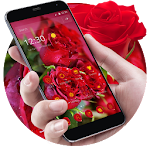 Cover Image of Download Red Rose Love Theme 1.1.2 APK