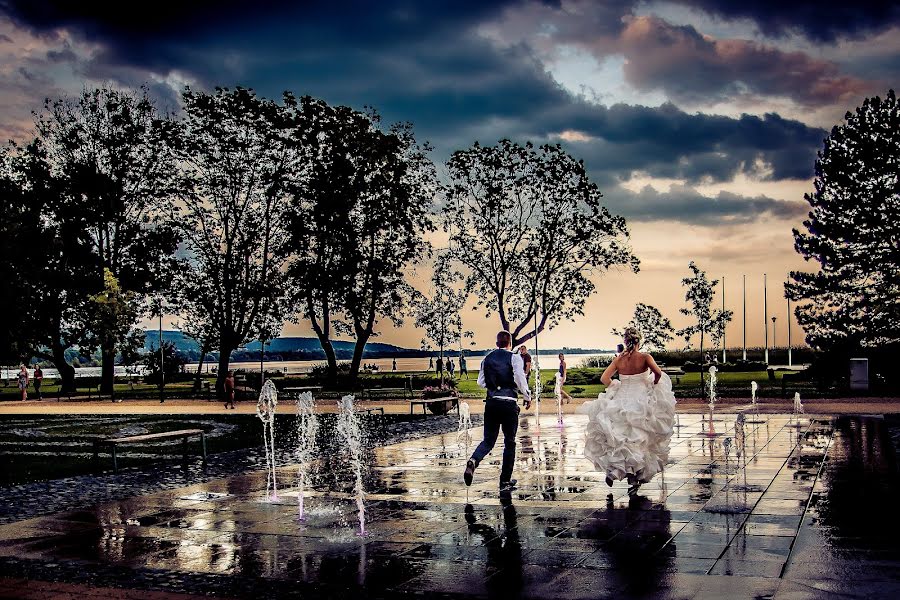 Photographe de mariage Ferenc Novak (ferencnovak). Photo du 29 septembre 2014