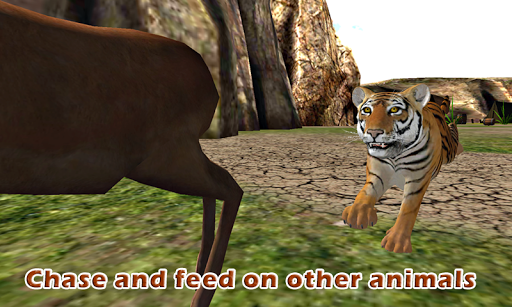 Wild Tiger Adventure Sim 3D