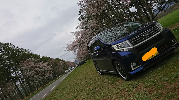 ムーヴの静内町の二十間道路の桜🌸・室蘭・桜🌸🌸🌸🌸🌸🌸🌸🌸🌸🌸🌸🌸🌸🌸🌸🌸🌸🌸🌸🌸🌸🌸🌸🌸・春の交通安全週間に関するカスタム事例の投稿画像9枚目