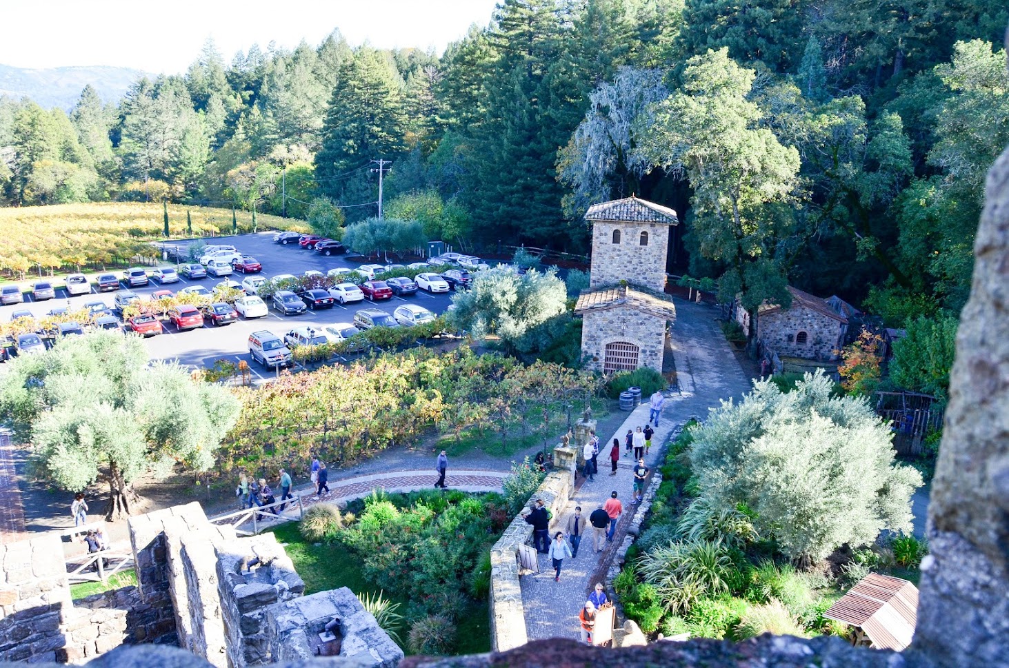 View from the ramparts of the castle, Napa Valley