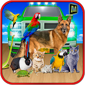 Pet Animal Transport Driving