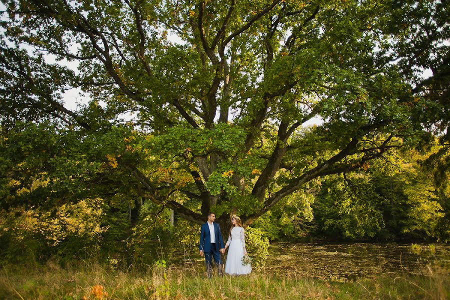 Wedding photographer Kaleriya Petrovskaya (lira192021). Photo of 25 September 2015