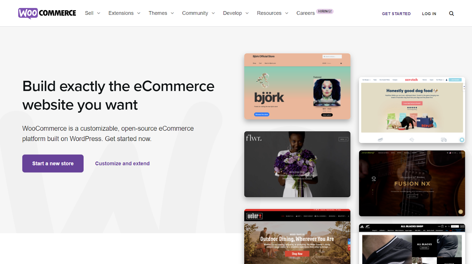 ein Screenshot der Woocommerce-Website