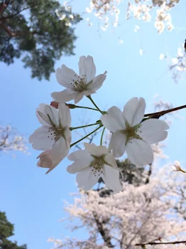 わかってよ私の気持ち