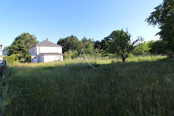 maison à Vineuil (41)