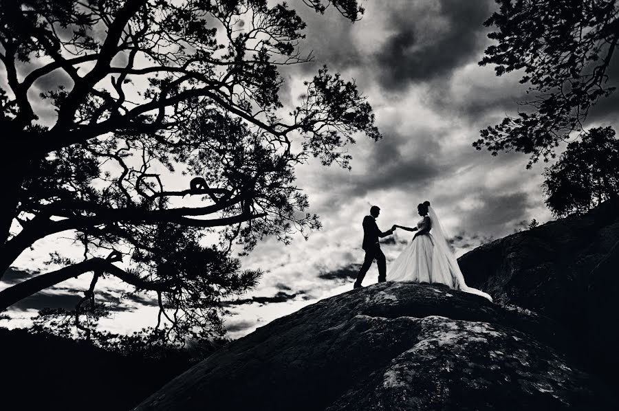 Fotógrafo de casamento Roman Zayac (rzphoto). Foto de 29 de setembro 2018