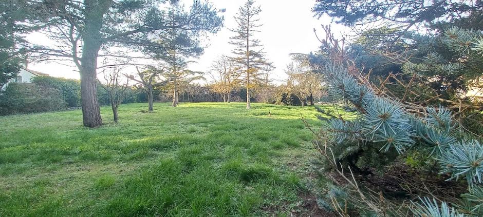 Vente terrain à batir  800 m² à Castelnaudary (11400), 60 000 €