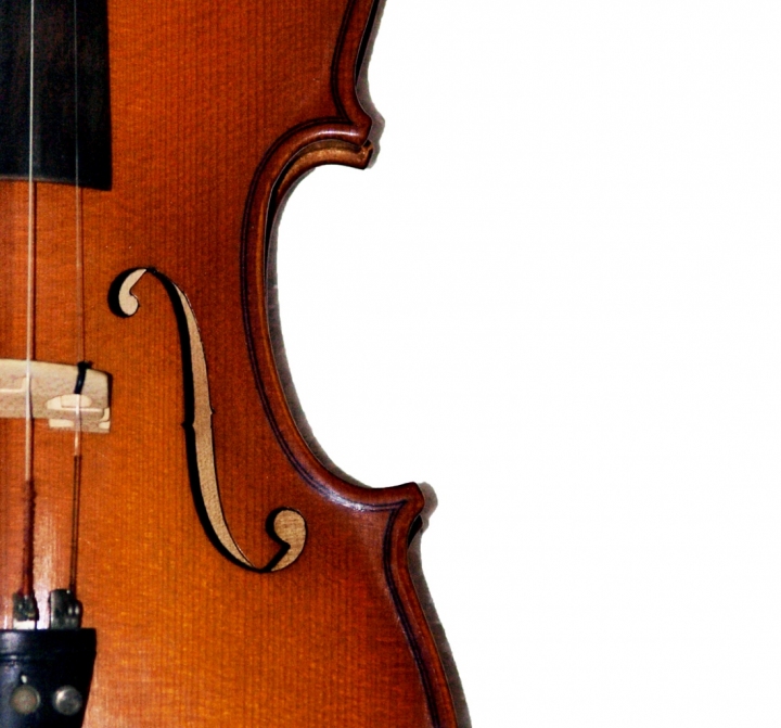 Particolare di violino di Automaticjack