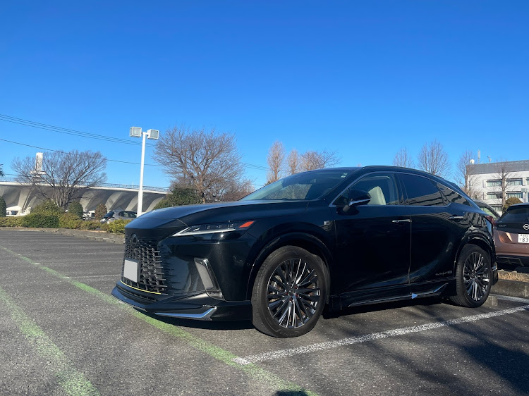 RXのお雛様・RX 450h＋に関するカスタム事例の投稿画像1枚目