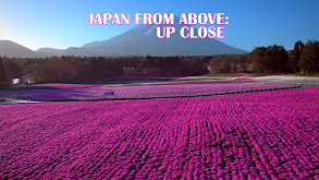 Japan From Above: Up Close thumbnail