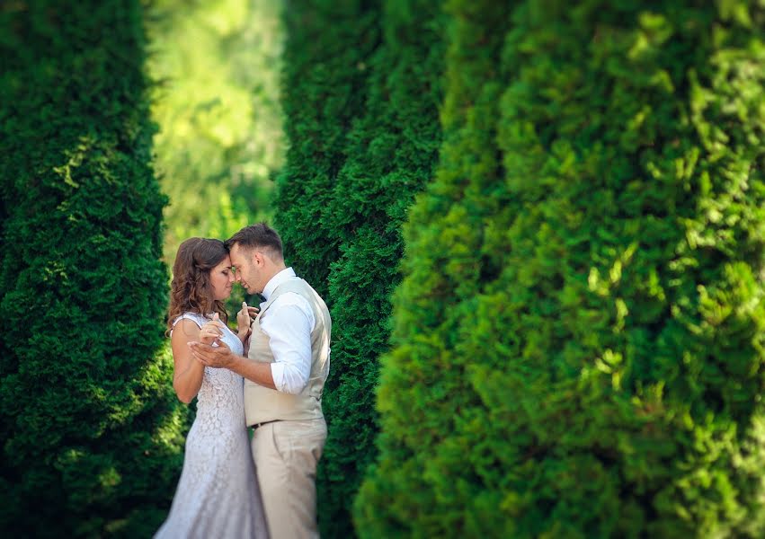 Fotógrafo de bodas Nikolay Stolyarenko (stolyarenko). Foto del 1 de agosto 2015