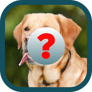 Guess Animals - Easy Spanish  Icon