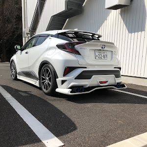 C-HR ZYX10