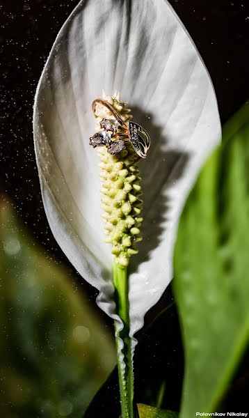 Fotografo di matrimoni Nikolay Polovnikov (kufnem). Foto del 21 marzo 2021