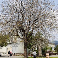 巧克力雲莊