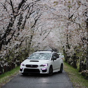 WRX STI