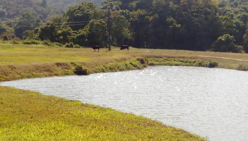 深涌湖泊