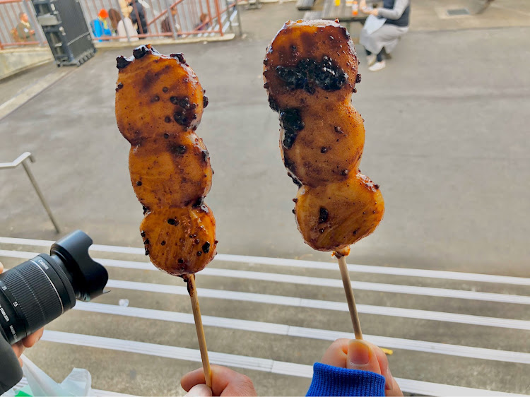 スイフトスポーツの筑波サーキット・筑波86祭・筑波山・夫婦デート・焼きだんごに関するカスタム事例の投稿画像23枚目