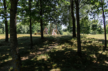 Весільний фотограф Марина Волосевич (mandarinka). Фотографія від 20 червня 2019