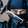 Ninja Creed  Assassin Warrior icon