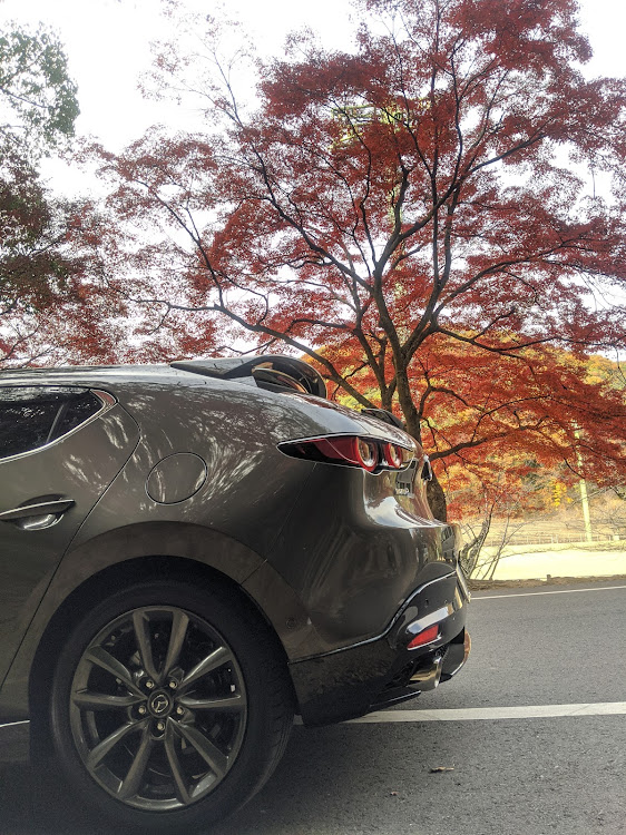 その他の無加工スマホ撮りに関するカスタム事例の投稿画像3枚目