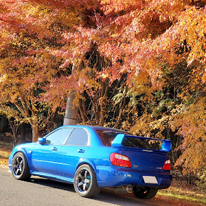 インプレッサ WRX STI GDB