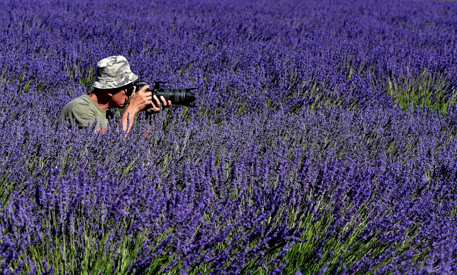 Fotografare di gigidueelle