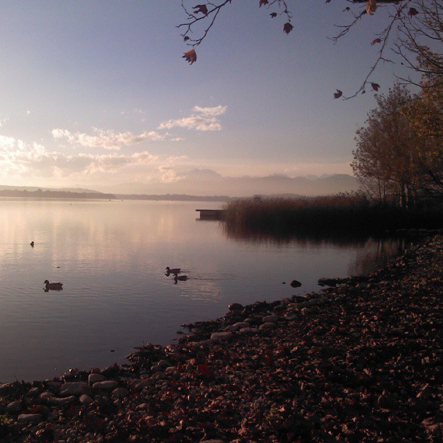 Part2 
#lake #see #lago #sun #winter #last   di alessiacasarotto