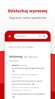 English-Polish Dictionary Screenshot