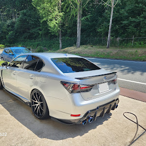 GS F URL10
