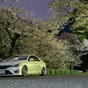 マークX