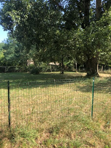 Vente terrain  1000 m² à Queyrac (33340), 77 000 €