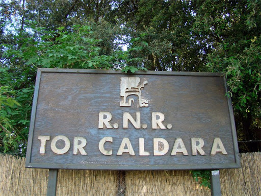 Riserva Naturale Regionale Tor Caldara