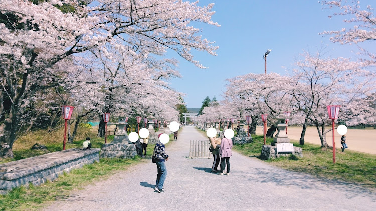 ムーヴのサクラと愛車・コロナに負けるな❗頑張ろう日本❗・沢山のいいねやコメントありがとうございます🎶・相馬中村神社・桜とコラボに関するカスタム事例の投稿画像8枚目