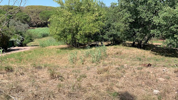 terrain à batir à Frejus (83)