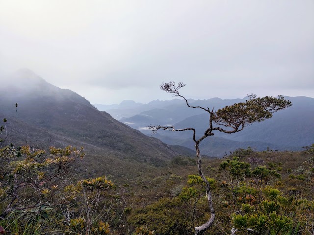 Mount Tahan Peak mountains views