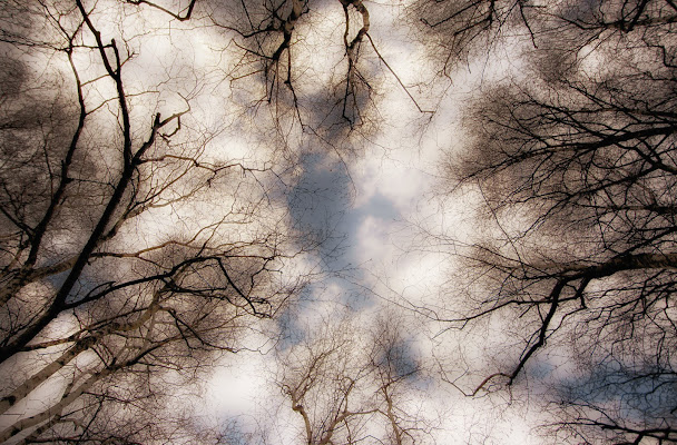 relax tra alberi e nuvole di rik